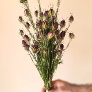 IMG_20250902_131343 retouch-min