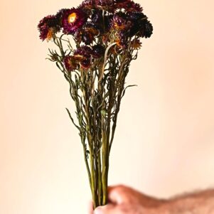 IMG_20250902_122005 retouch-min