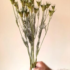 IMG_20250902_122440 retouch-min