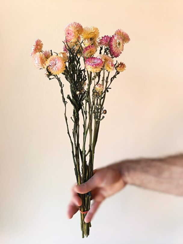 Immortelles Silver Pink – Image 4