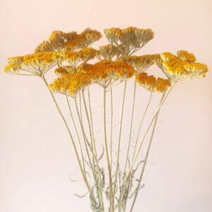 IMG_20250923_130741-min